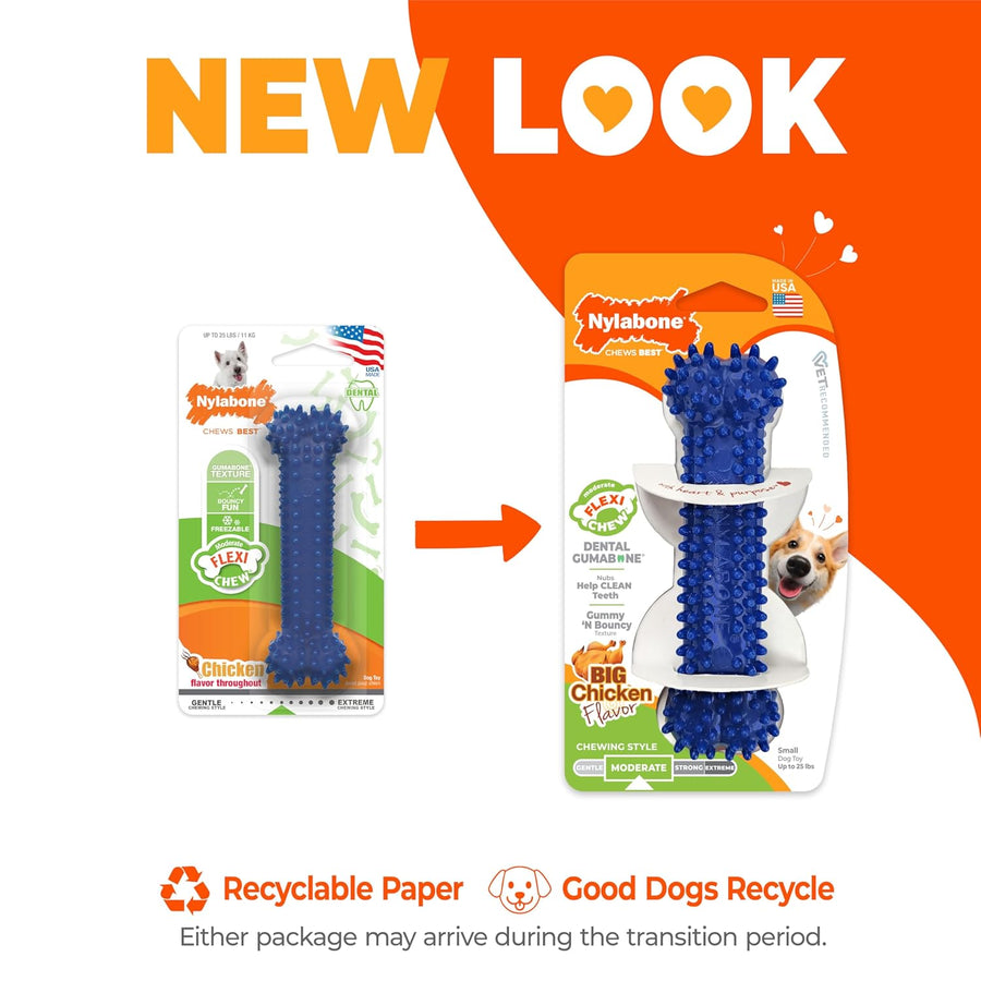 Nylabone Dental Chew Bone