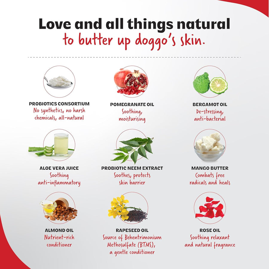Right4paws Probiotics Grooming Butter