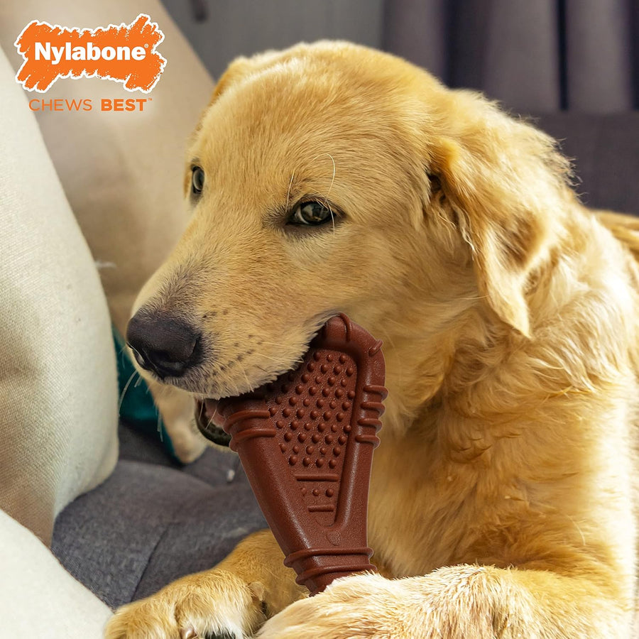 Nylabone Power Chew Dental Arch Bone