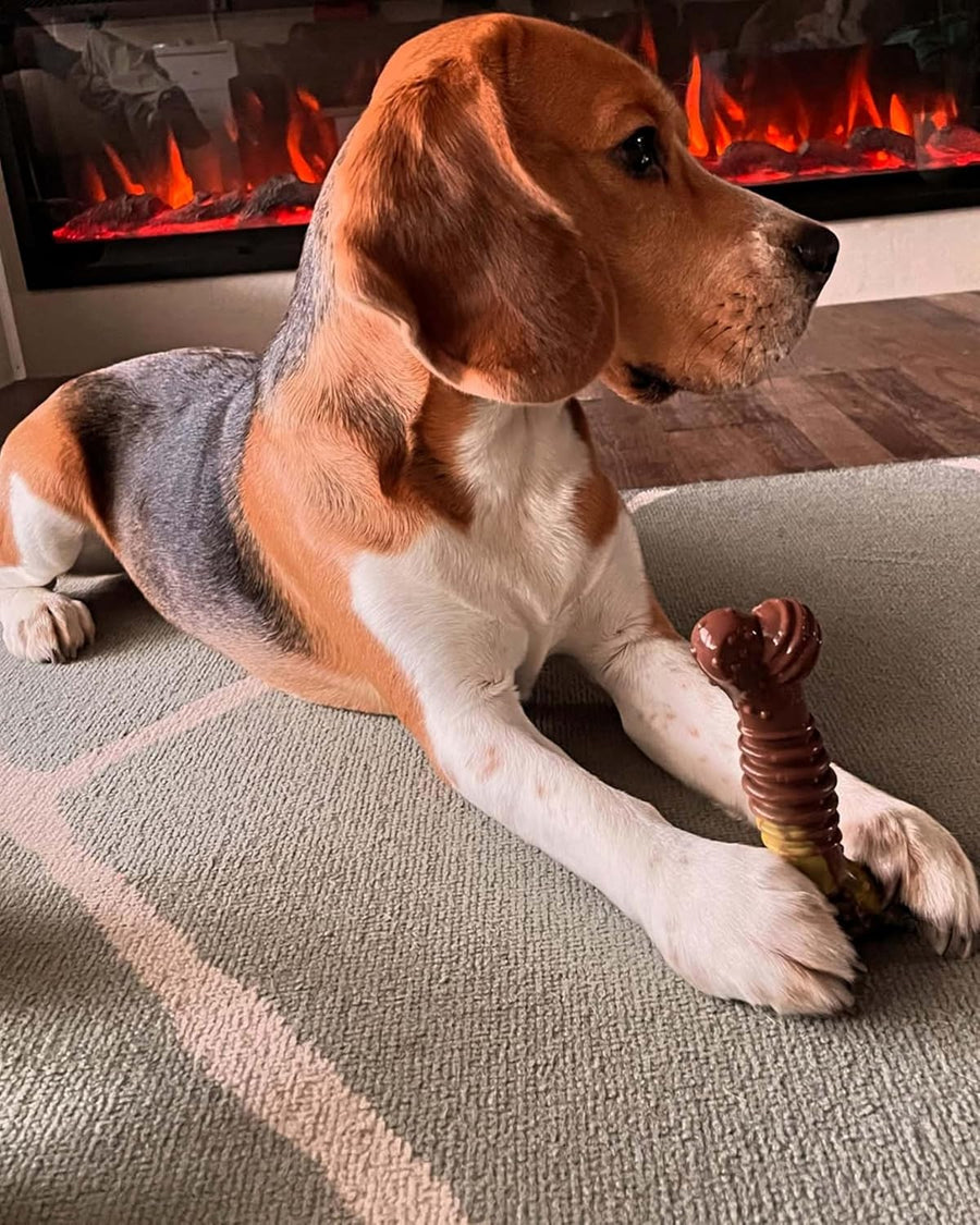 Nylabone Power Chew Flavour Frenzy Textured Bone
