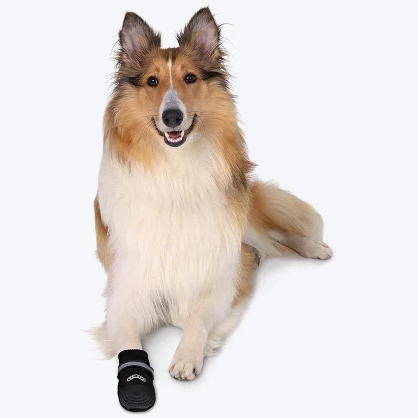 Trixie Walker Care Protective Boots