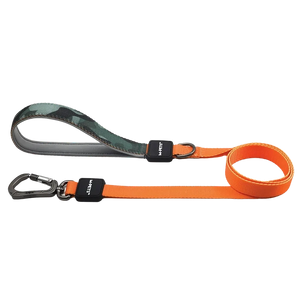 Walk essentials