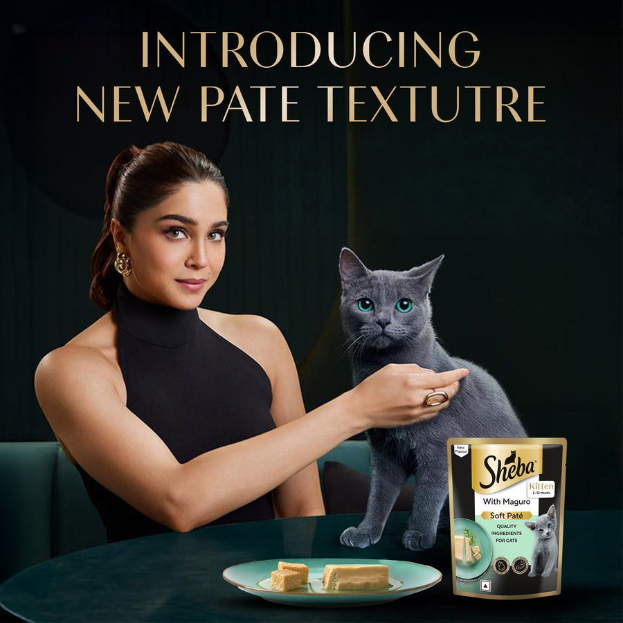 Sheba Maguro Flavour Soft Pate Kitten Wet Food