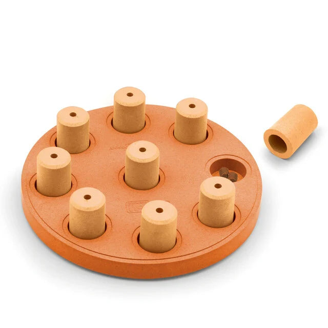 Outward Hound Dog Smart Composite Interactive Treats Game
