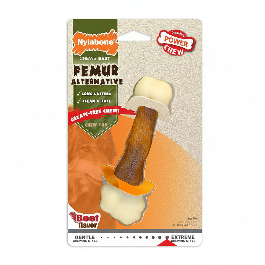 Nylabone Femur Bone Power Chew Durable Dog Toy Femur Beef