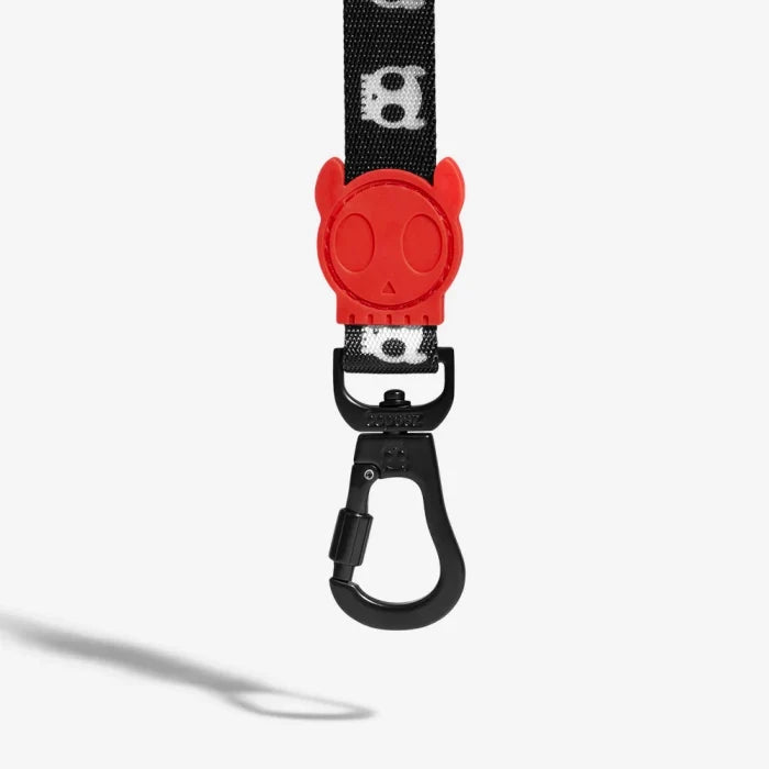Zee Dog Regular Leash for Dogs