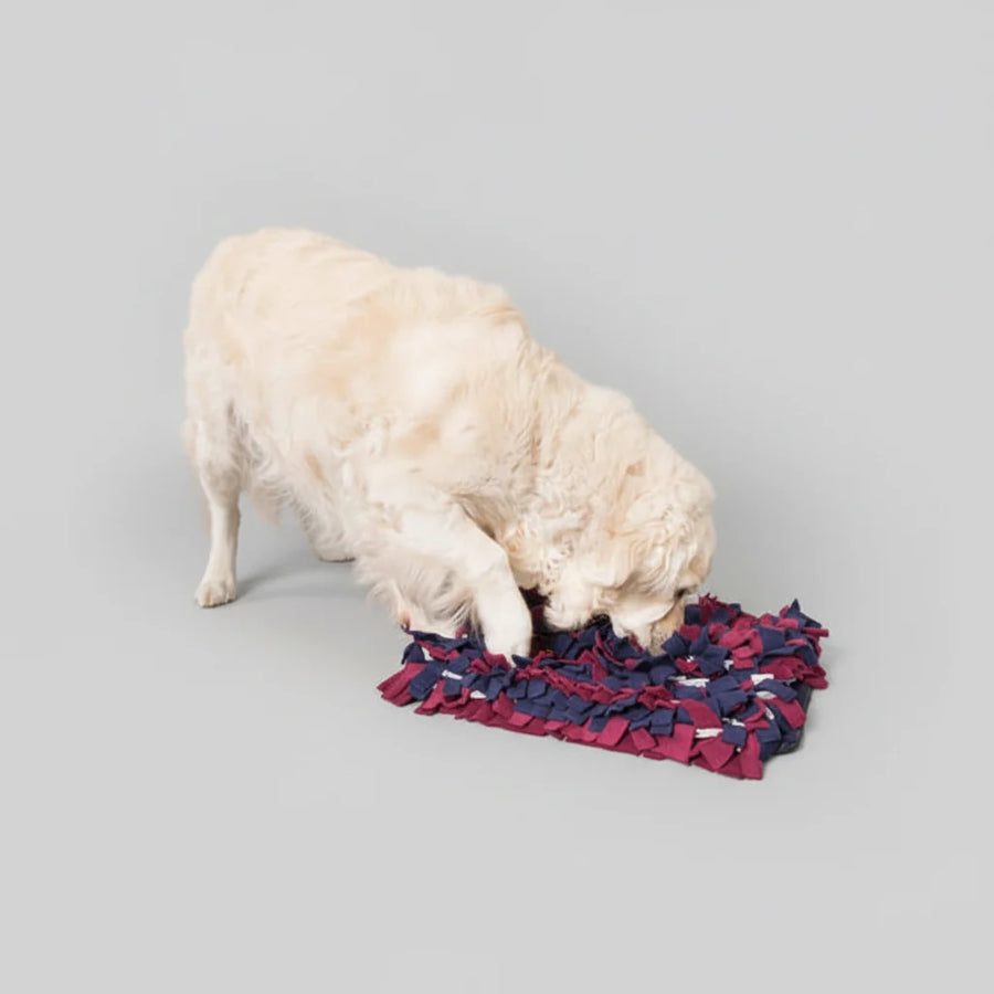 Trixie Activity Sniffing Carpet Strategy Game for Dogs