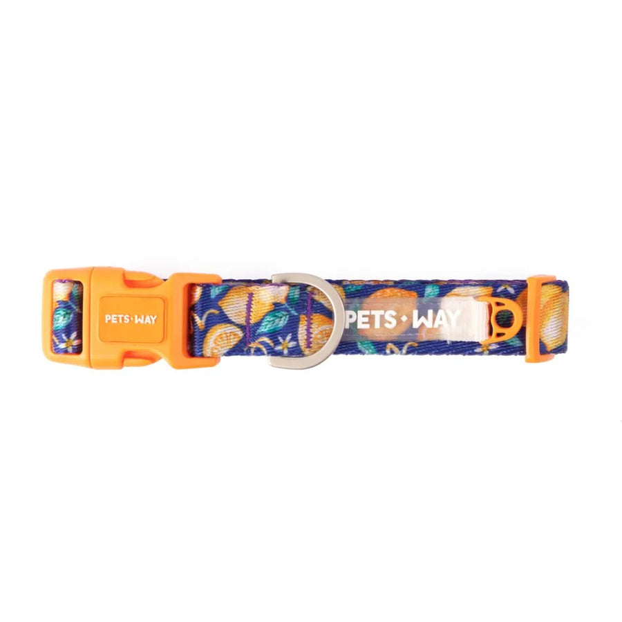 Pets Way Printed Collar For Dogs