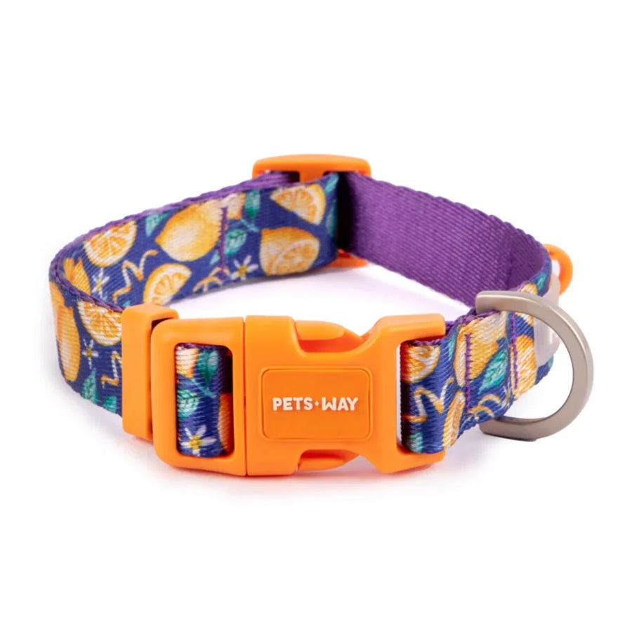 Pets Way Printed Collar For Dogs