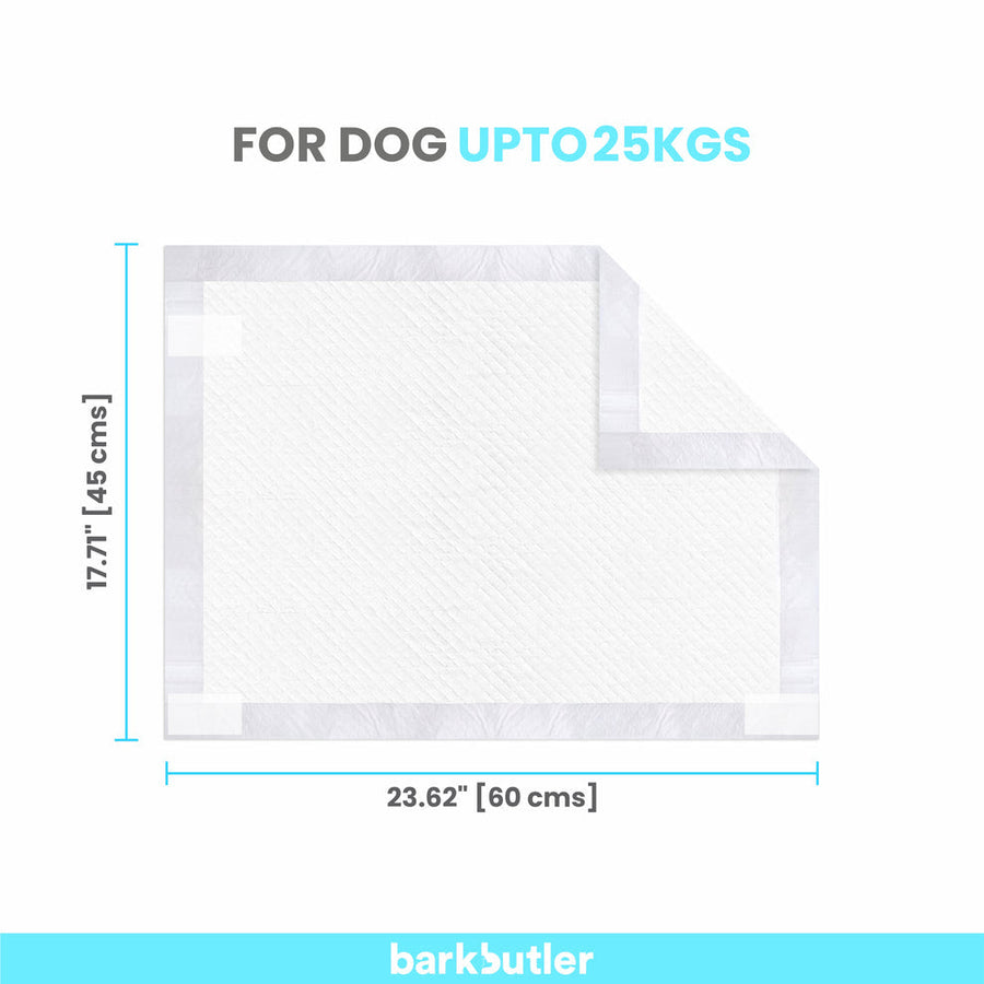 Fofos Training Pad 30pcs For Dogs