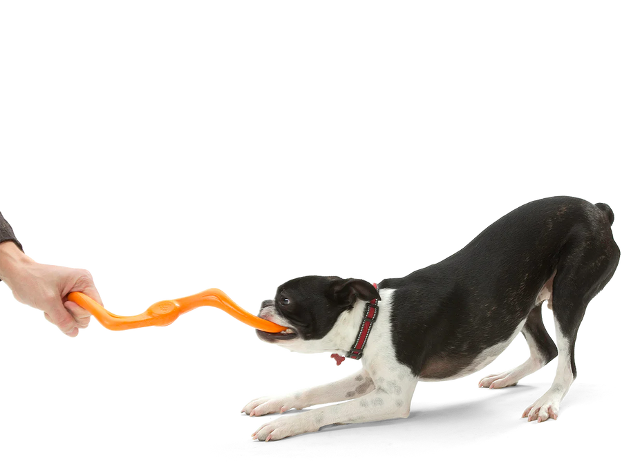 West Paw Bumi Dog Toys
