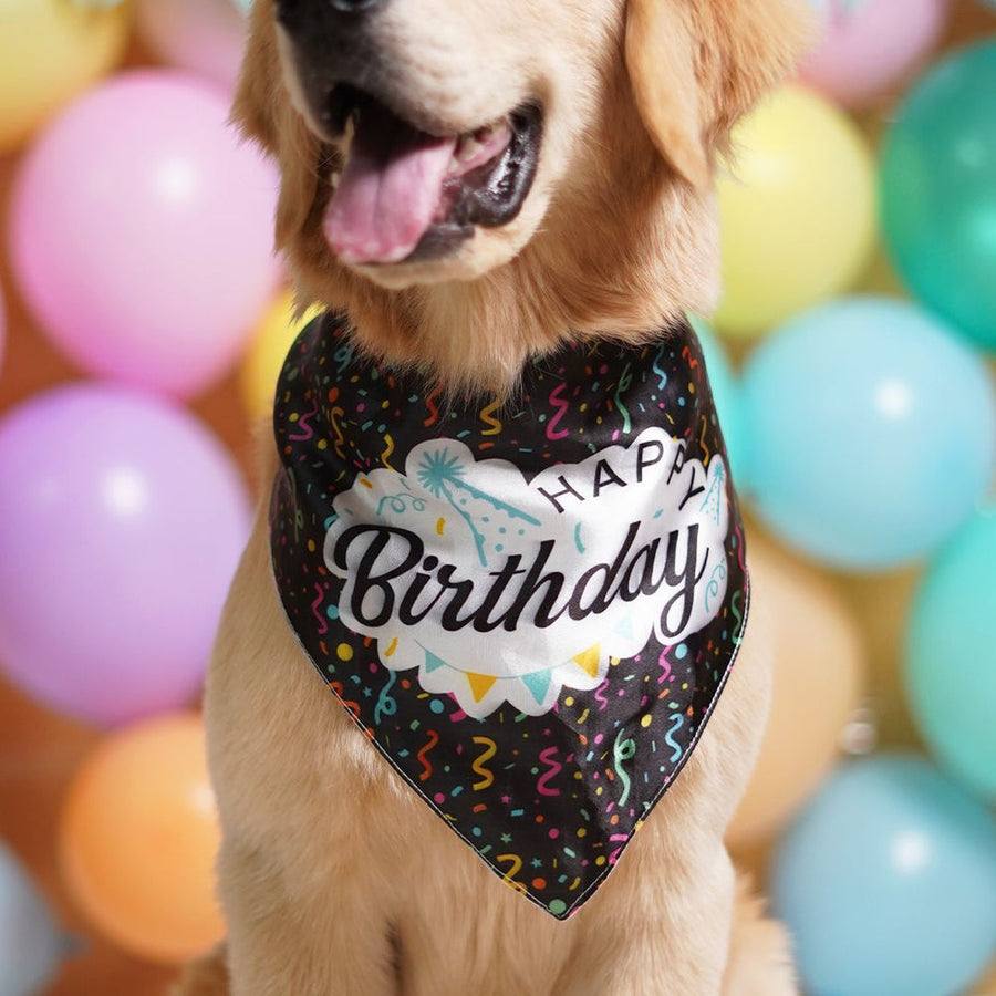 Pets Way Happy Birthday Bandana for Dogs