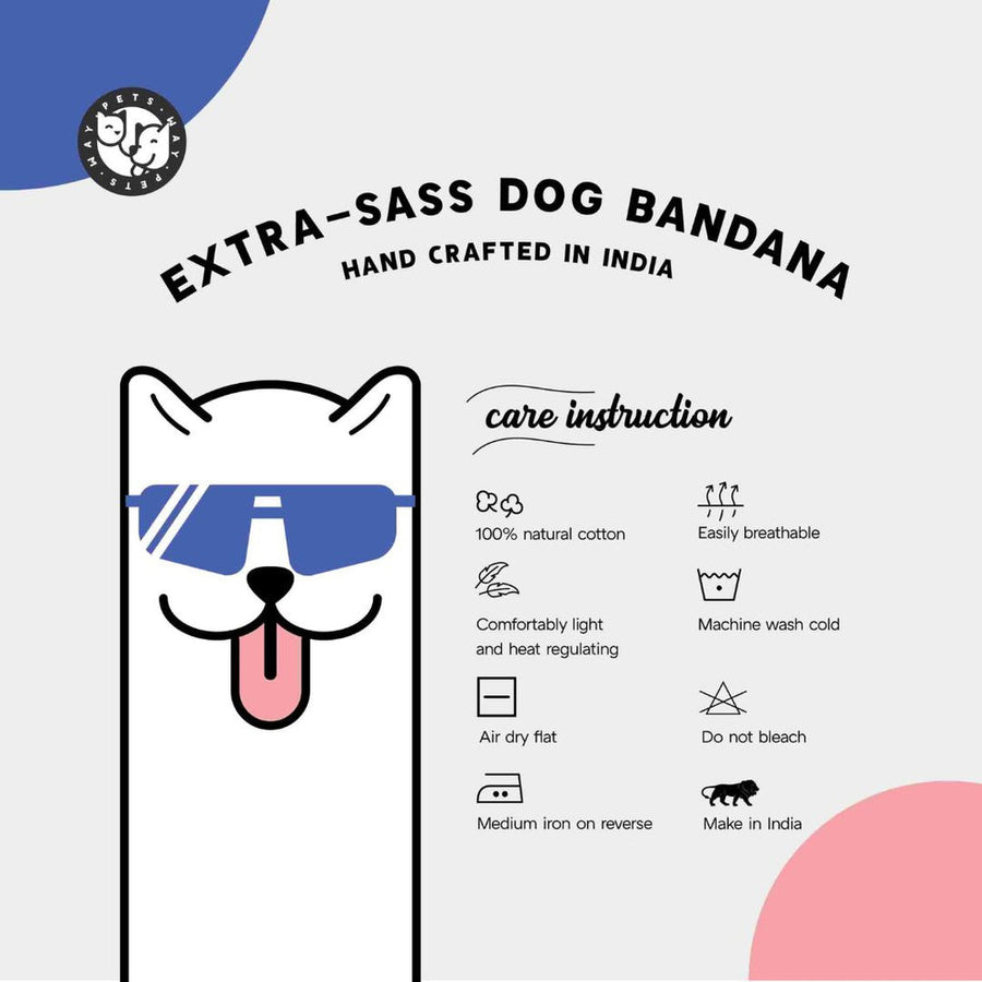 Pets Way Happy Birthday Bandana for Dogs