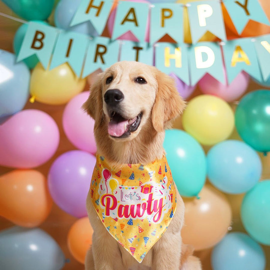 Pets Way Happy Birthday Bandana for Dogs
