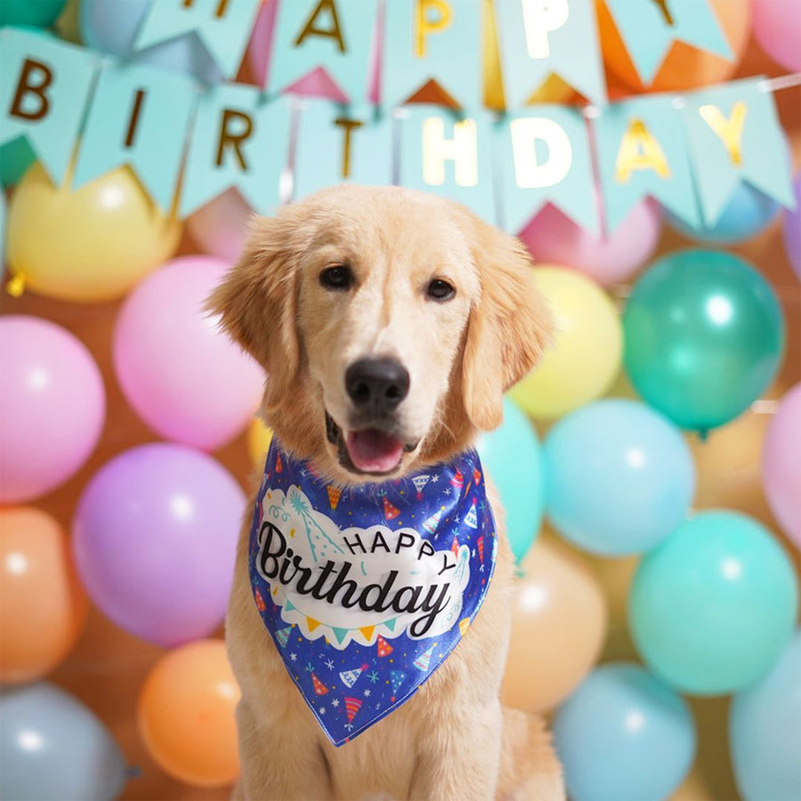 Pets Way Happy Birthday Bandana for Dogs