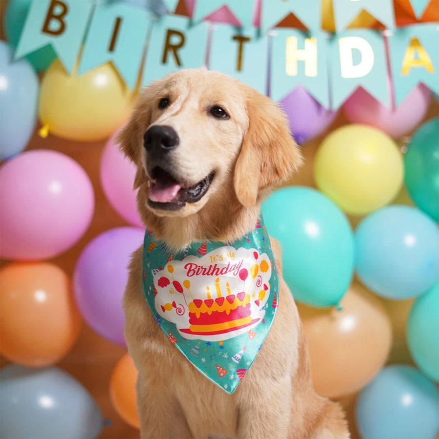 Pets Way Happy Birthday Bandana for Dogs