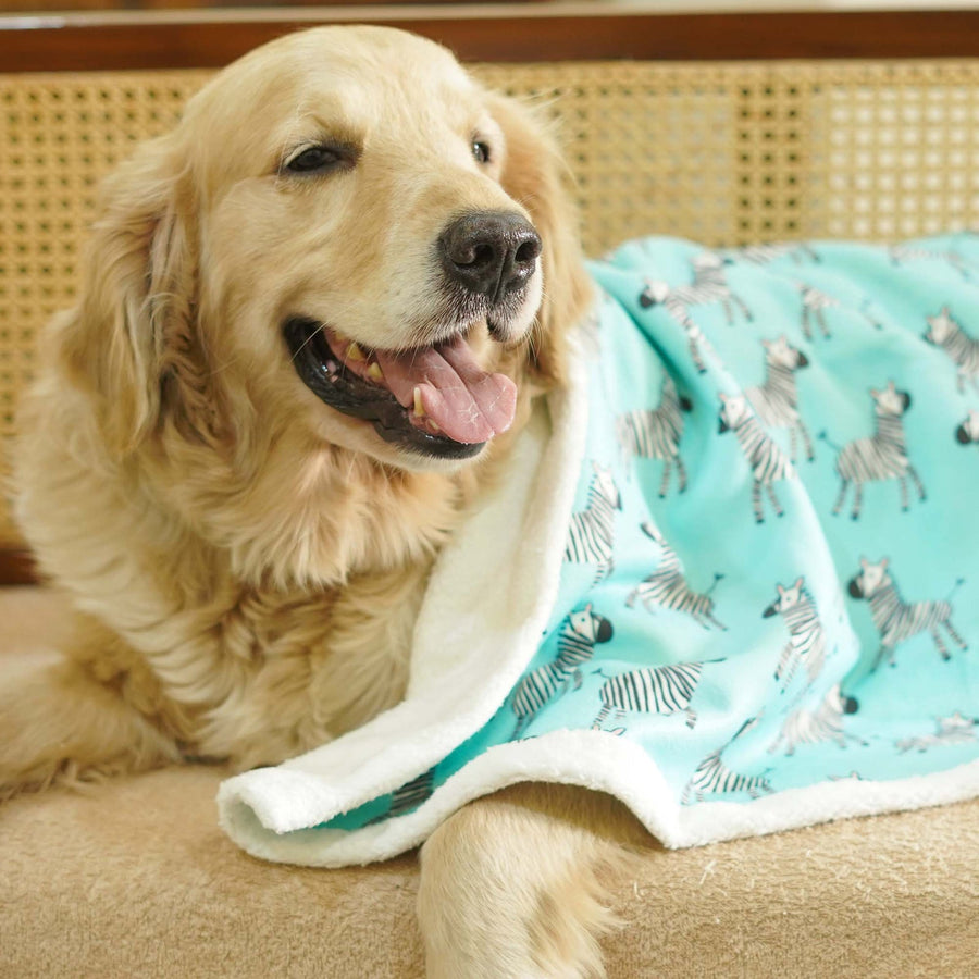 Pets Way Zebra Pet Blanket for Dogs