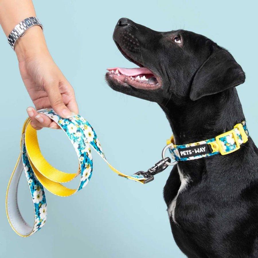 Pets Way Printed Collar For Dogs