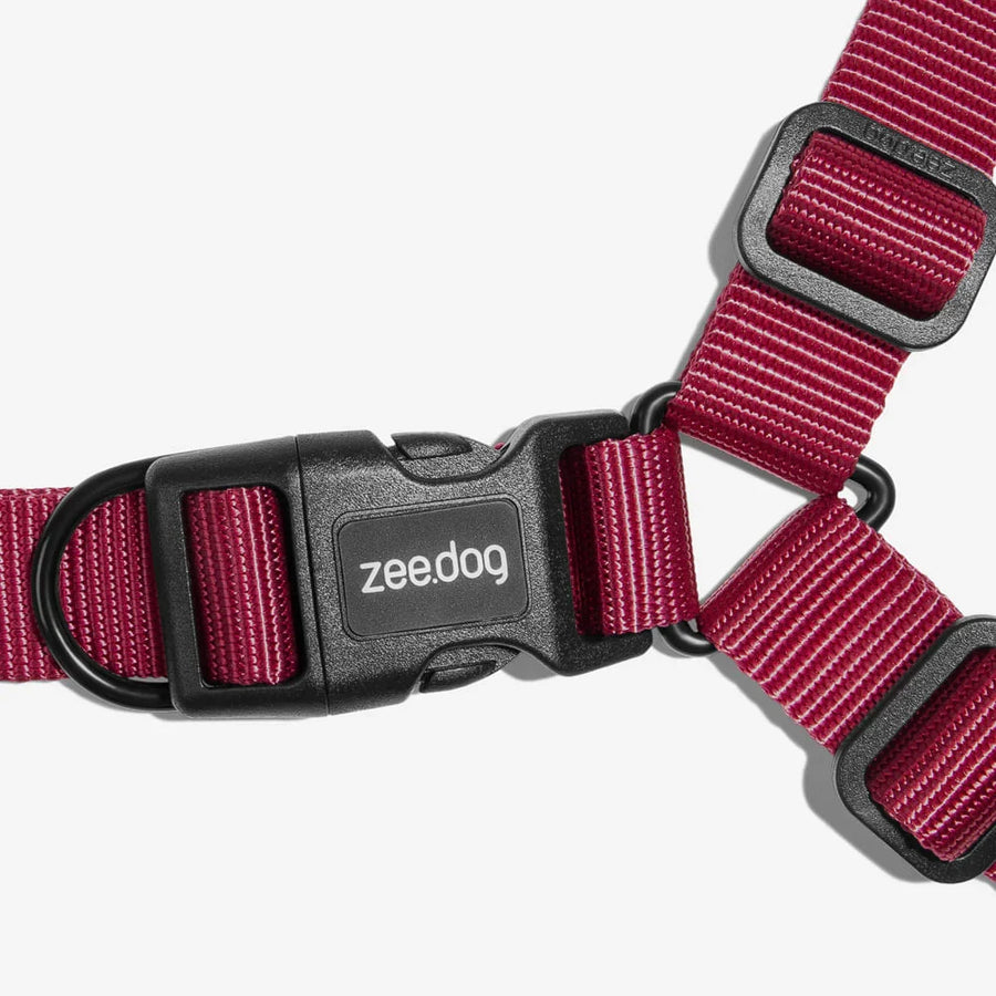 Zee Dog H-Harness for Dogs - Bordeau