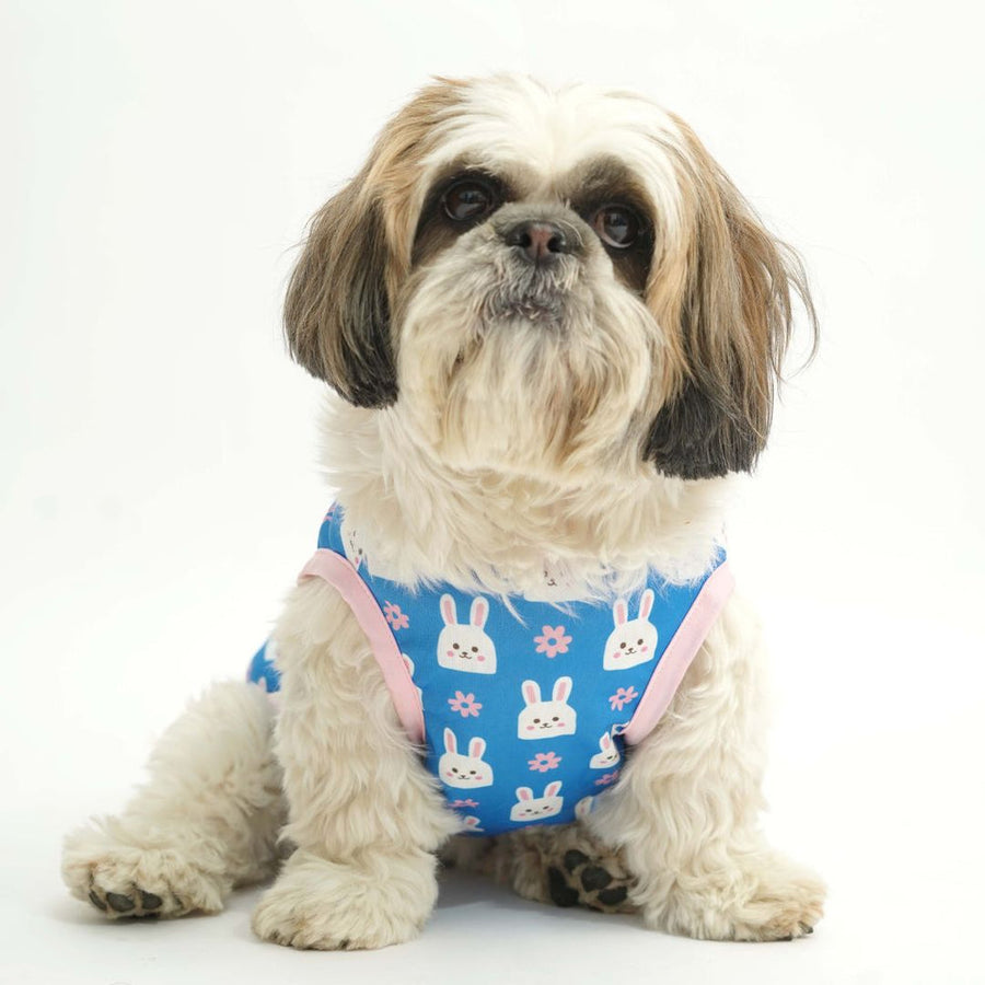 Pets Way Bunny Printed Vest for Dogs