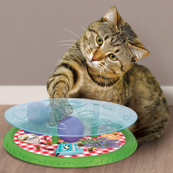 Kong Rewards Picnic Toy for Cats
