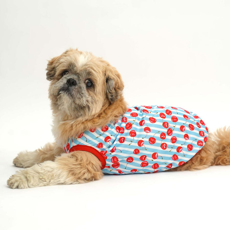 Pets Way Cherry Land Printed Vest for Dogs