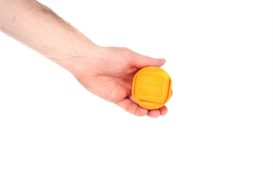 GiGwi G Foamer Ball Dog Toy