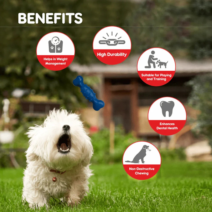 Drools Dog Spike Bone Toy