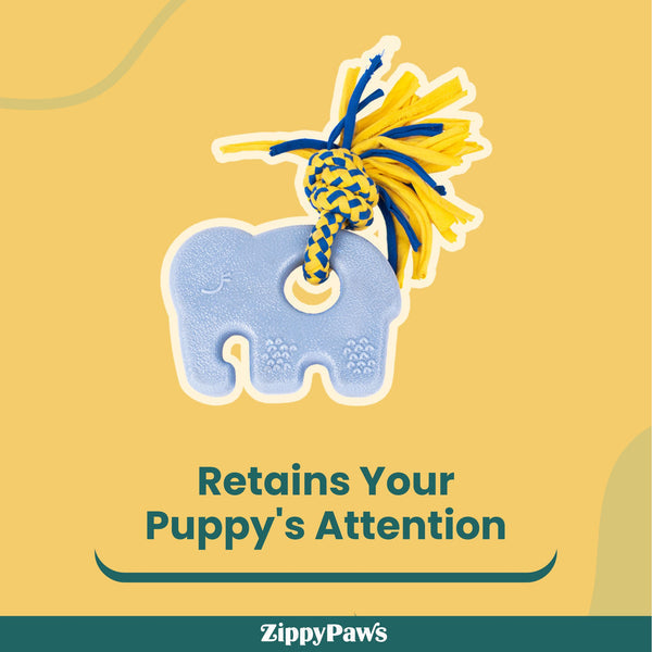 Zippy Paws ZippyTuff Teether Elliot the Elephant Plush Toy for Dogs