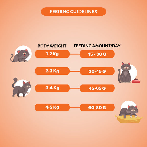 Grain Zero Mackerel Adult Cat Dry Food