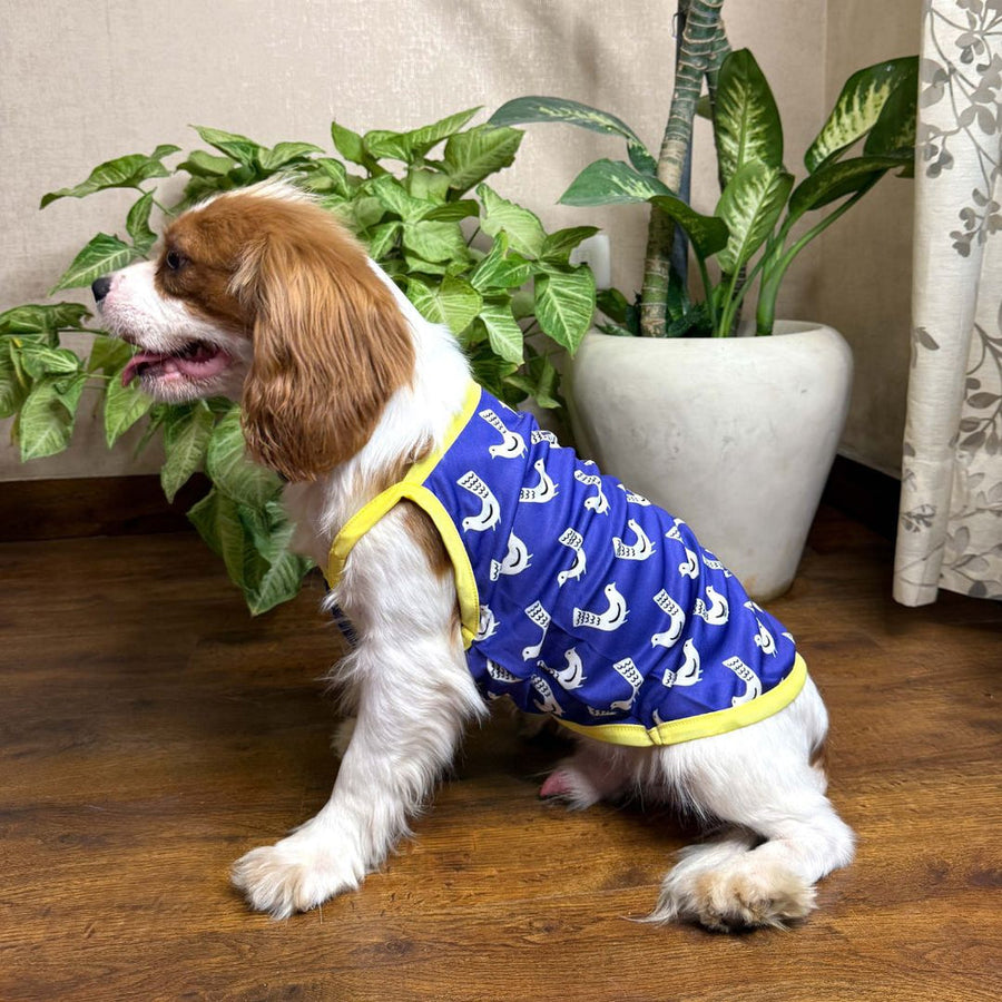 Pets Way Fly high Printed Vest for Dogs