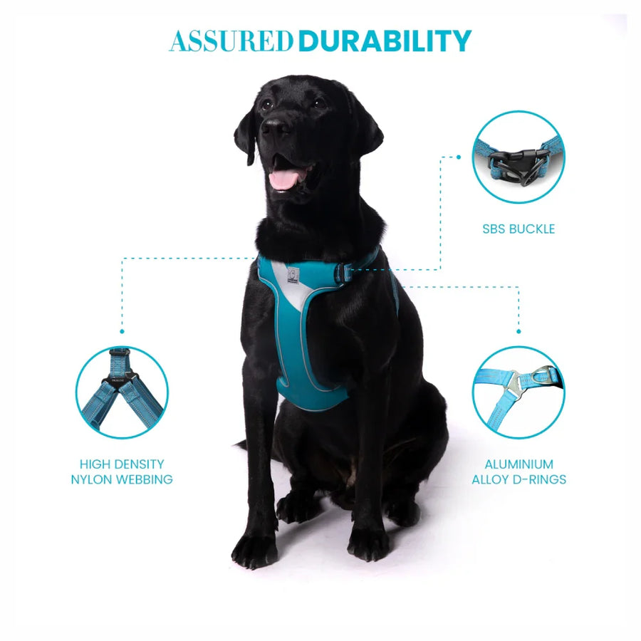 True Love Step In Harness for Dogs - 3M
