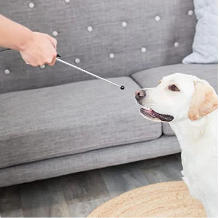 Trixie Target Stick with Clicker Button Retractable Toy for Dogs and Cats