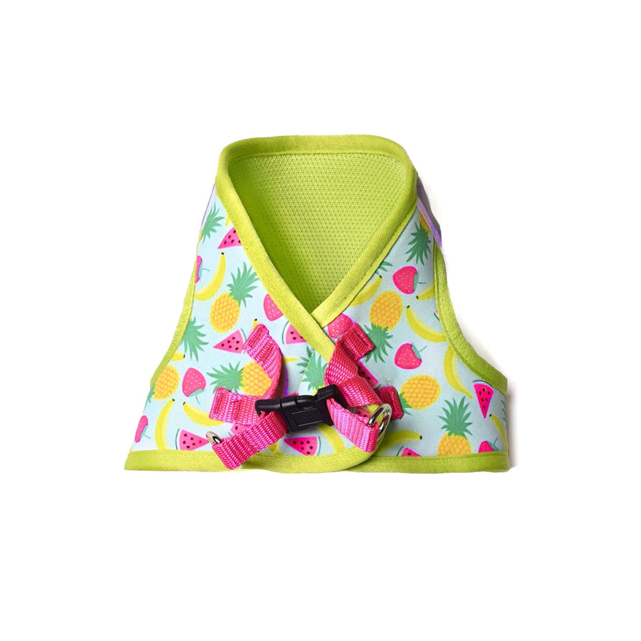 Pets Way Fruity Printed Mesh Harness for Small Dogs
