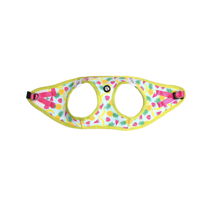 Pets Way Fruity Printed Mesh Harness for Small Dogs