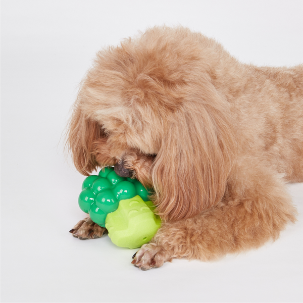 Fofos Giggling Vegi Bites Squeaky Chew Toy for Dogs
