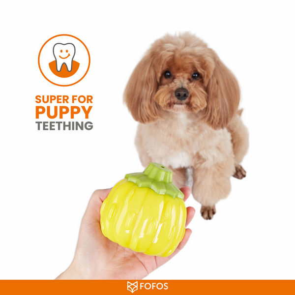 Fofos Giggling Vegi Bites Squeaky Chew Toy for Dogs