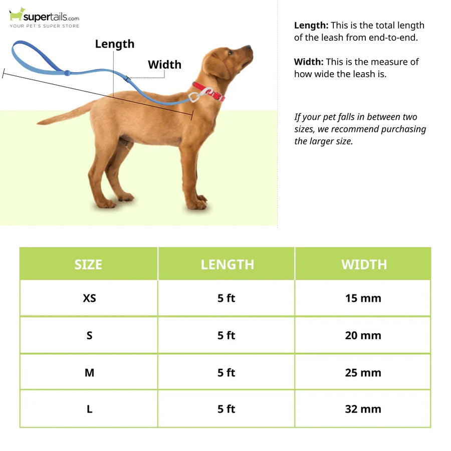Glucklich Dog Leash Nylon