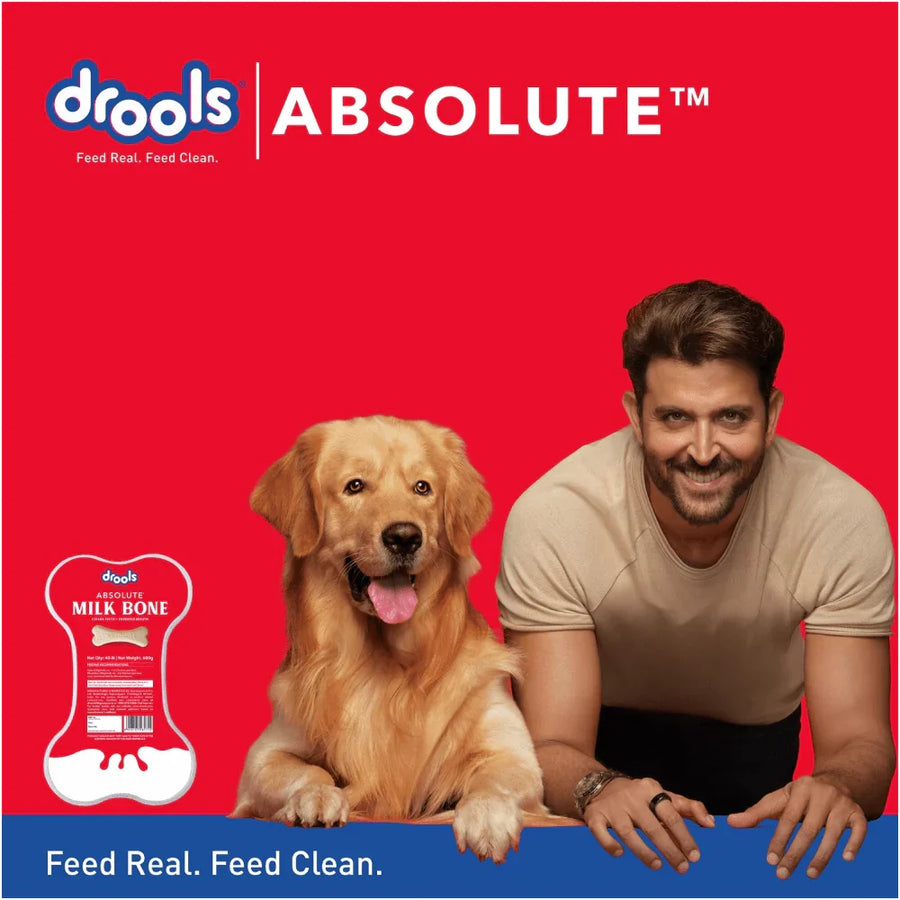 Drools Absolute Milk Bone Jar Treats