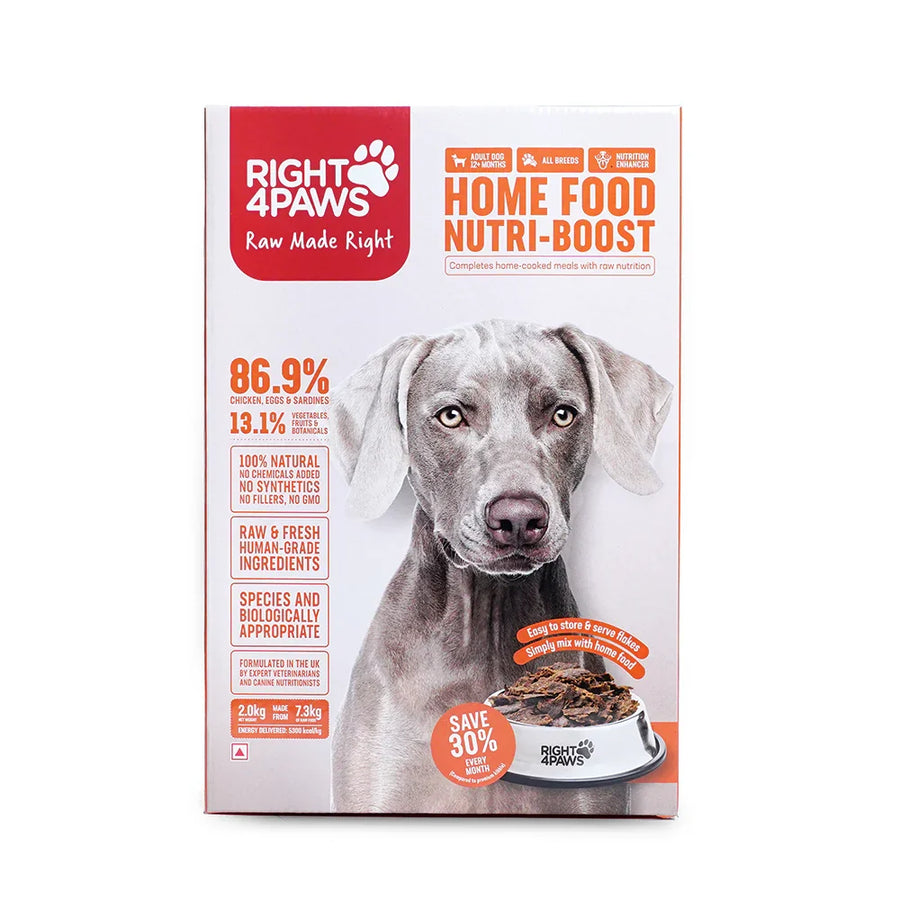 Right 4 Paws Boost Up Supplement for Dogs