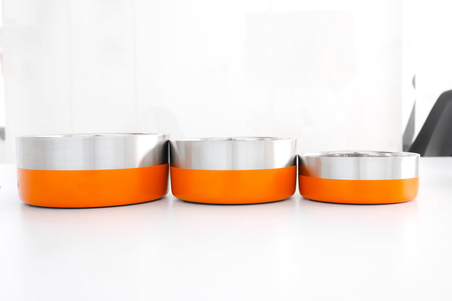 Story Tails Double Wall Dog Bowl Color & Anti Skid Base