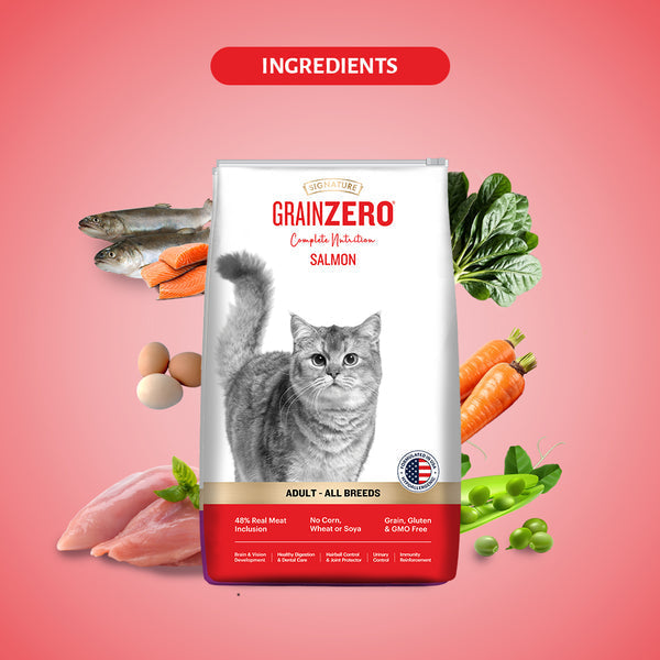 Grain Zero Salmon Adult Cat Dry Food