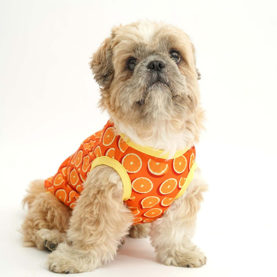 Pets Way Juicy Printed Vest for Dogs