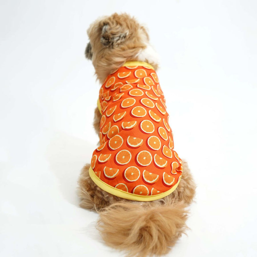 Pets Way Juicy Printed Vest for Dogs