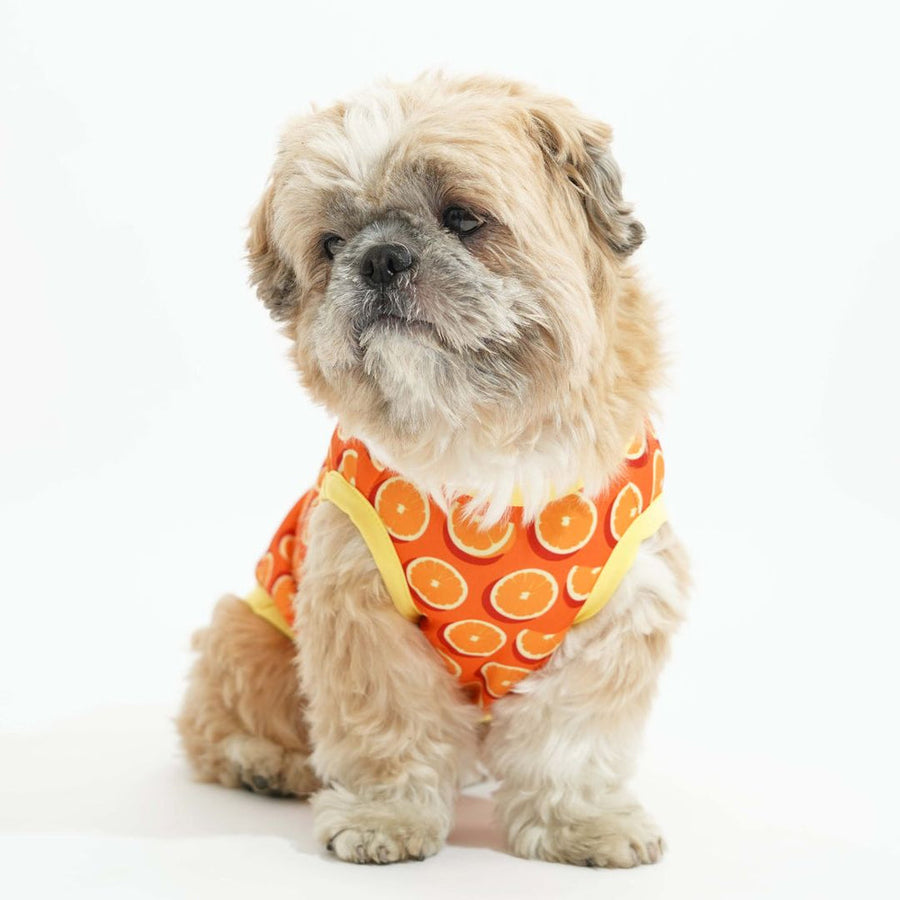 Pets Way Juicy Printed Vest for Dogs