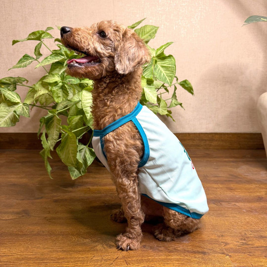 Pets Way Solid Cyan Jungle claws Vest for Dogs