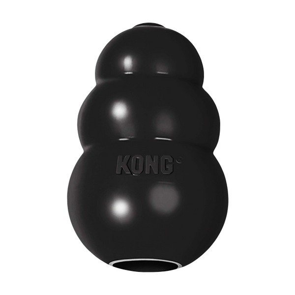Kong Puppy Treat Toy