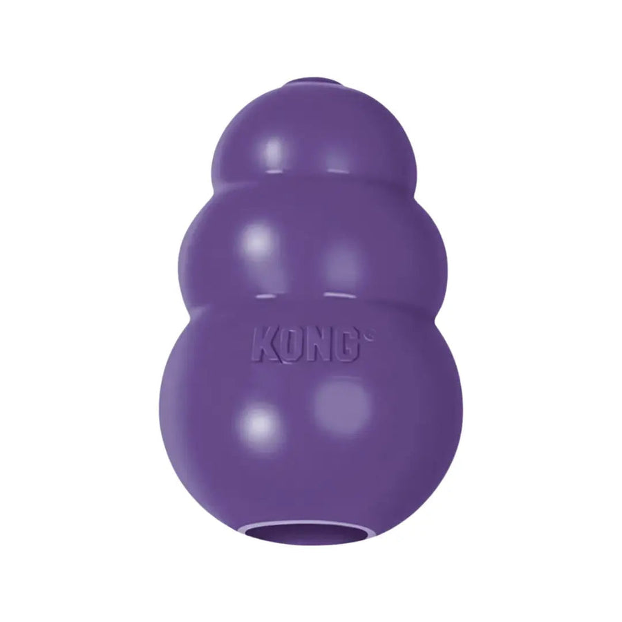 Kong Senior Dog Chew Toy