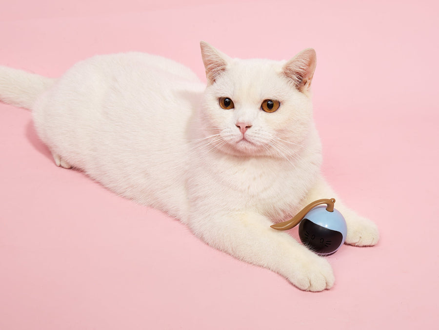 Fofos Tumbler Cat Toy
