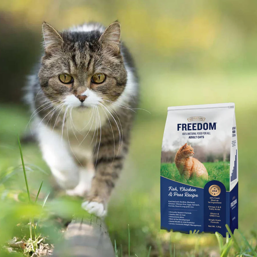 Signature Freedom Fish Chicken & Peas Adult Cat Dry Food